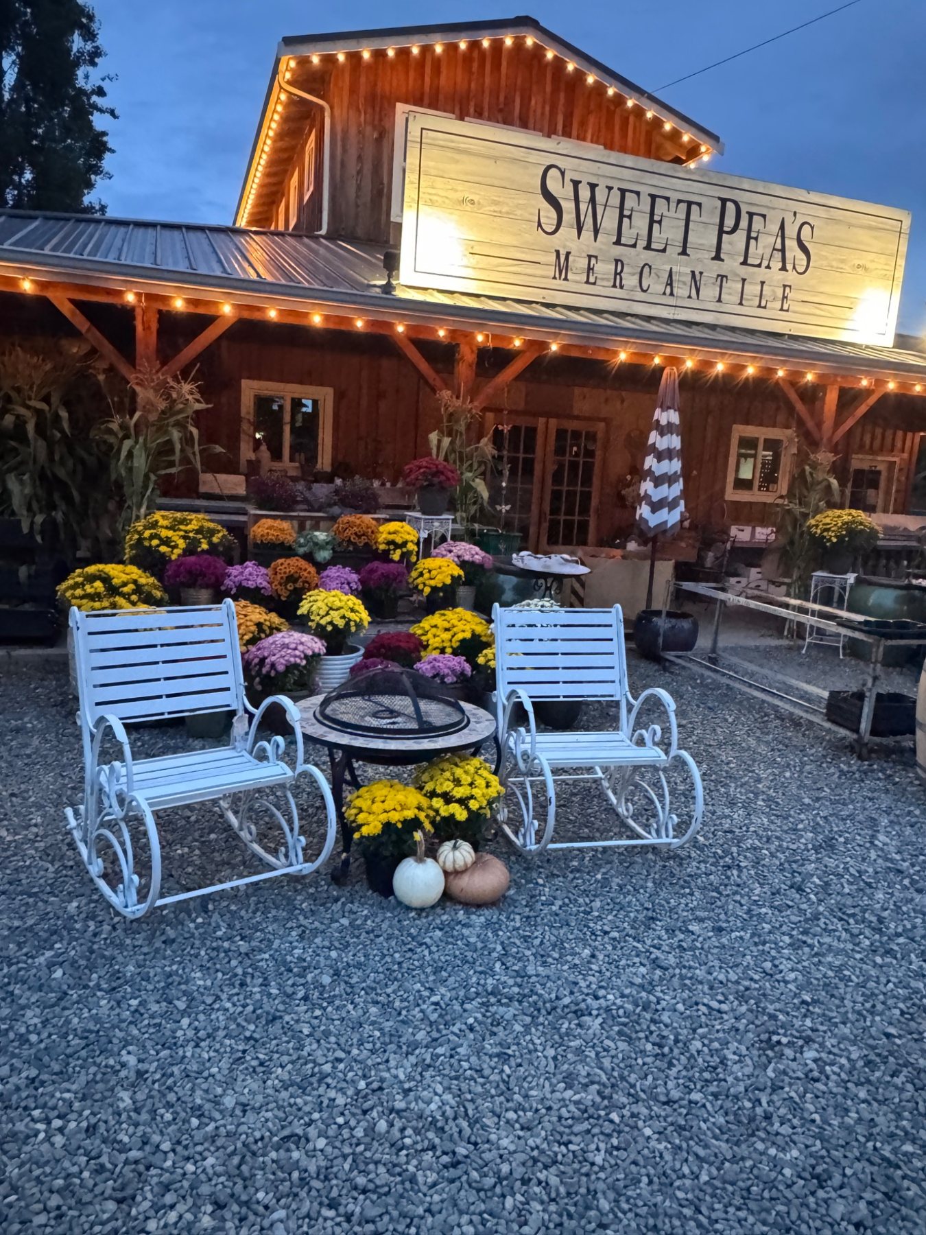 White rocking chairs beside fall mums and pumpkins under Sweet Pea’s twinkling porch lights