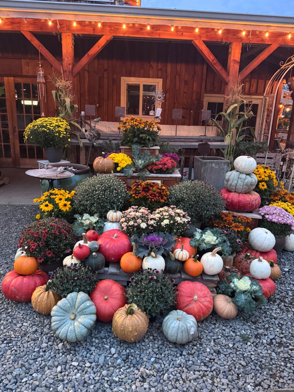 Colorful pumpkins and fall mums outside the shop