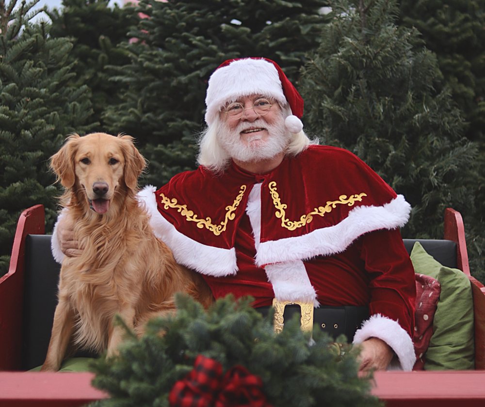Santa and Peanut sitting together among Christmas trees at Sweet Pea’s
