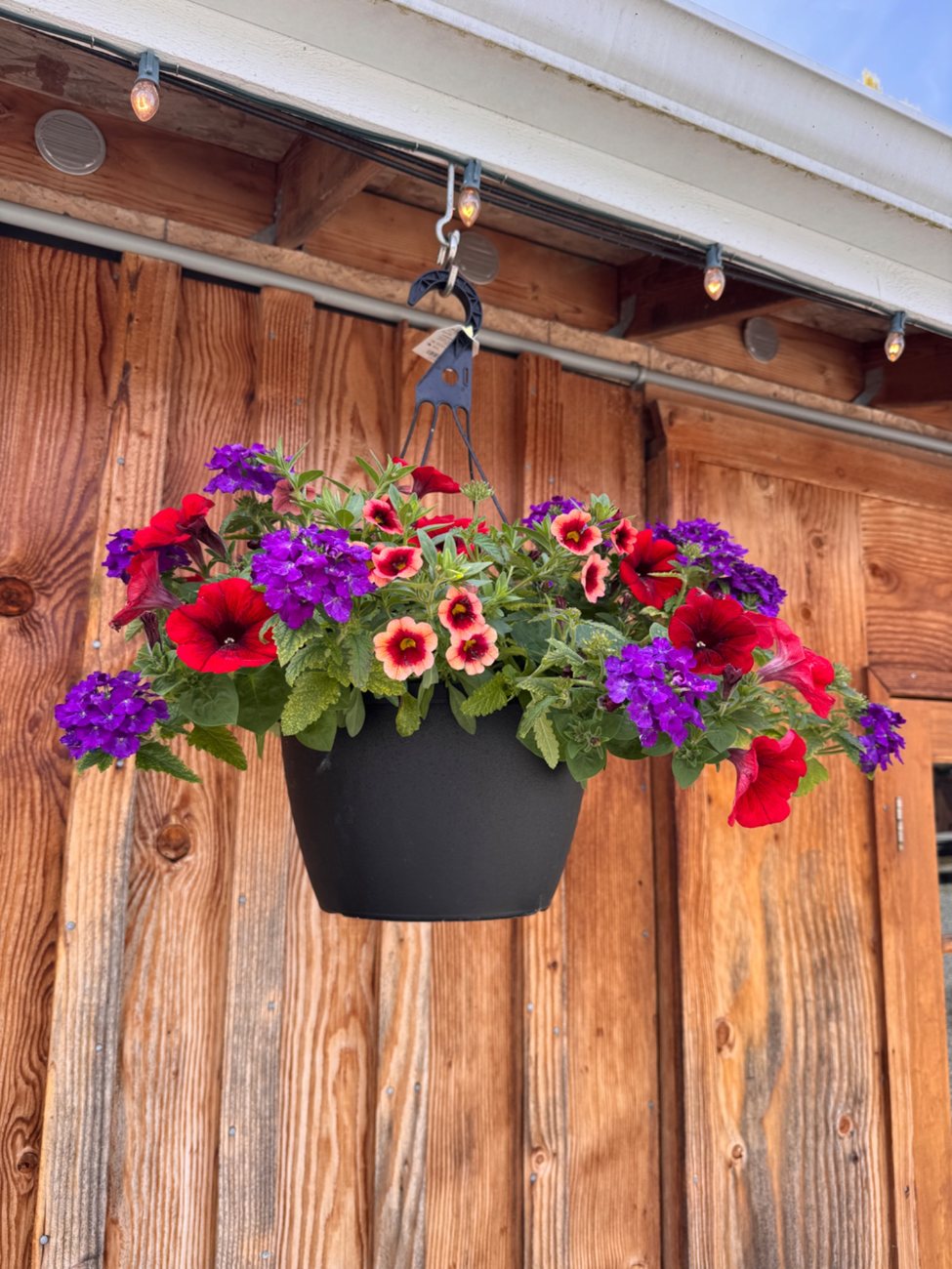 A colorful hanging flower basket outside Sweet Pea’s