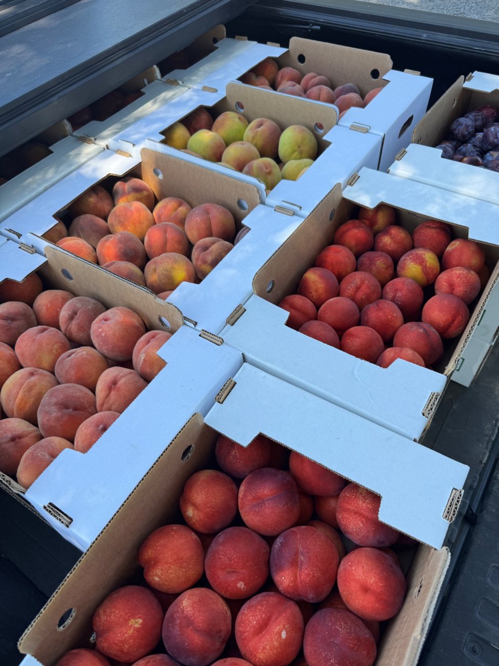 Boxes of fresh peaches and nectarines for summer at Sweet Pea’s