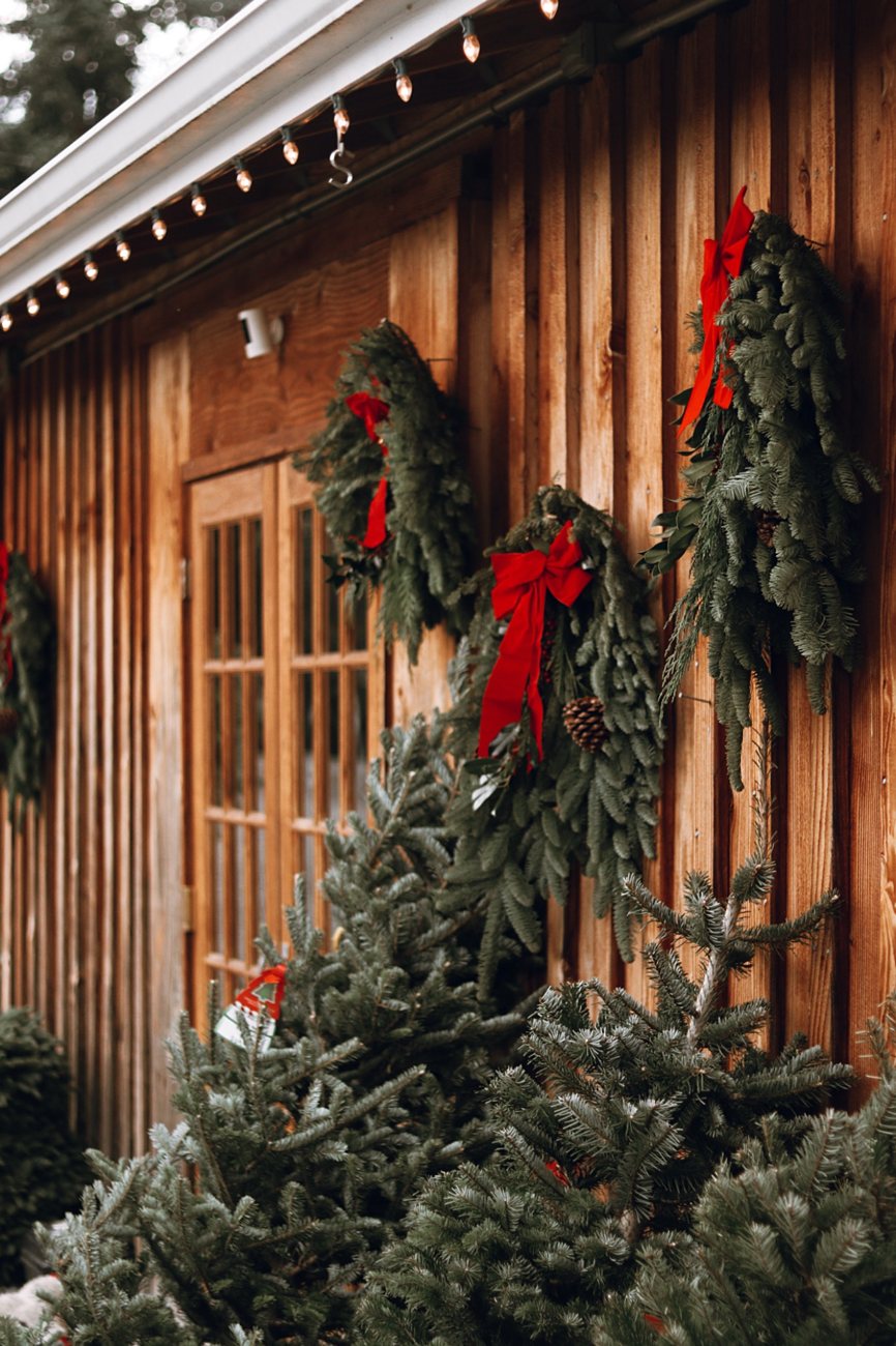 Fresh evergreen wreaths with red bows and Christmas trees at Sweet Pea’s